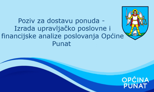 Analiza poslovanja