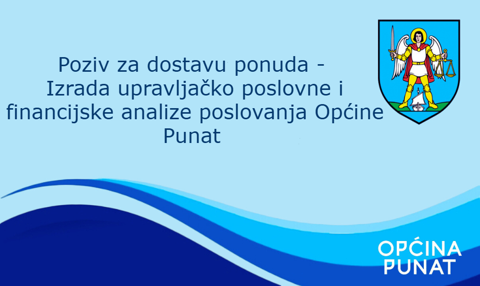Analiza poslovanja