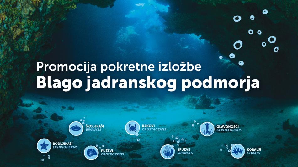 Izložba blago mora
